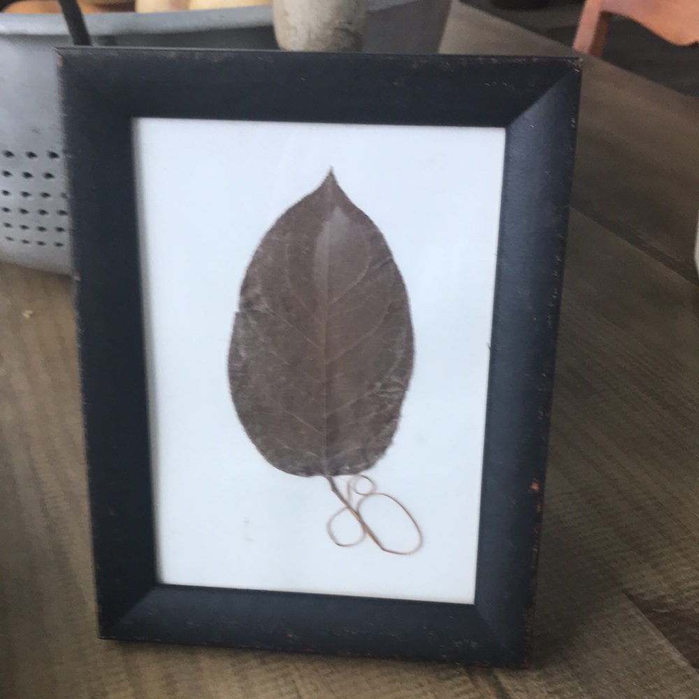 Roma Distressed Dark Brown Picture Frame with Original Pressed Leaf